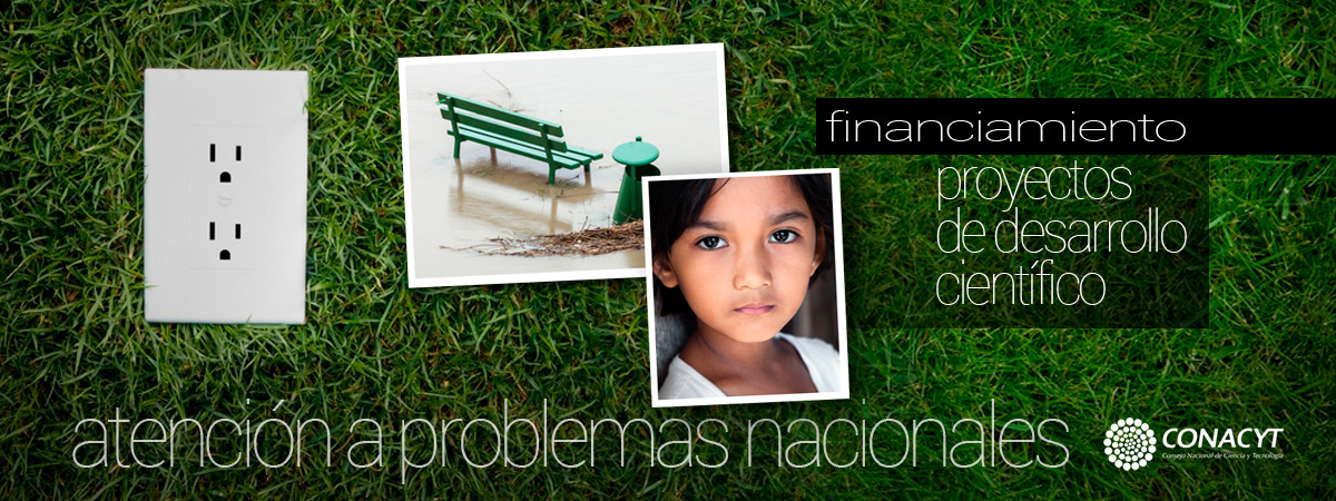 Convocatoria de Proyectos de Desarrollo Científico para Atender Problemas Nacionales  CONACYT - 2014
