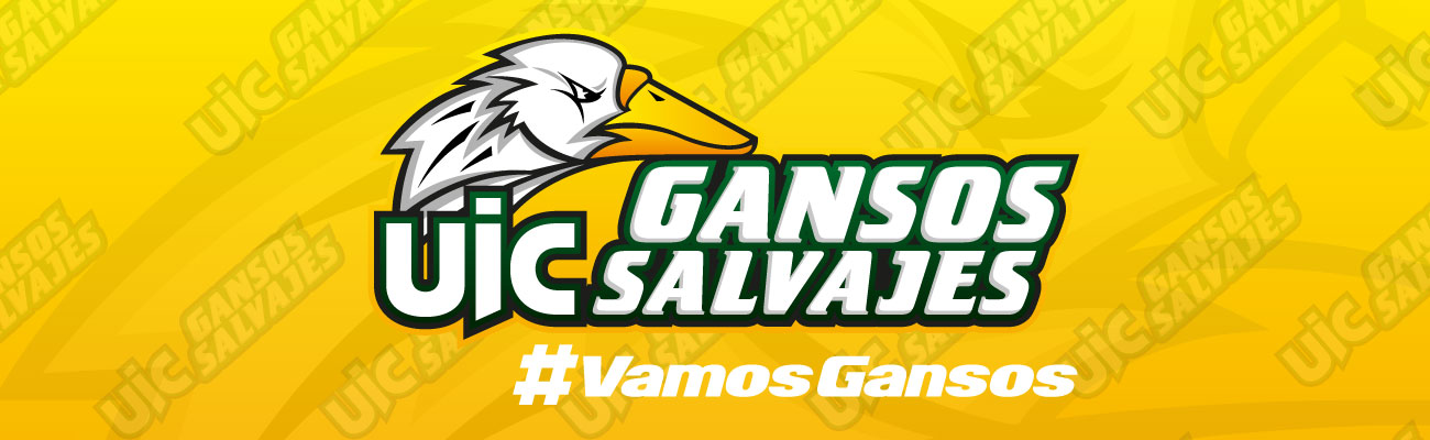 Decálogo de los Gansos Salvajes Universidad Intercontinental