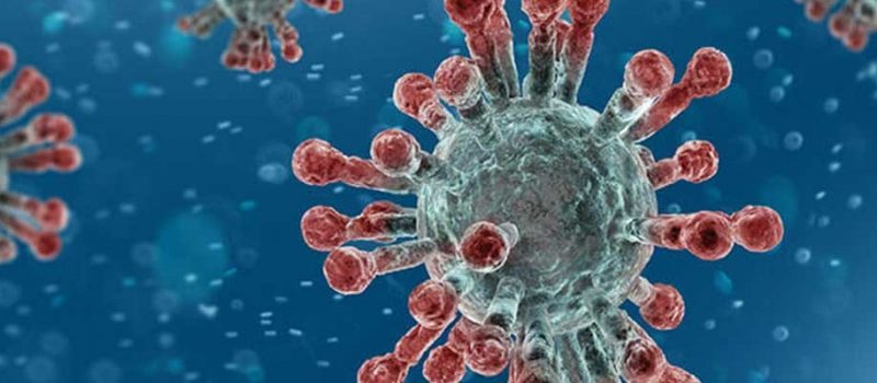 Coronavirus virus del coronavirus 83 KB coronavirus