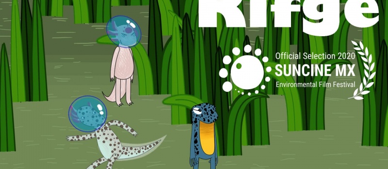 kifge poster, 153 kb, suncine mx