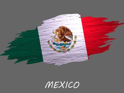 Como ciudadano mexicano es importante tener conocimiento histórico de cómo funciona nuestro país. Aquí entérate del origen de la federación.