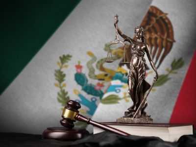 Constitución y derechos