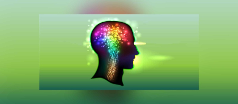 Conoce más del neuromito